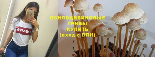дживик Алексеевка