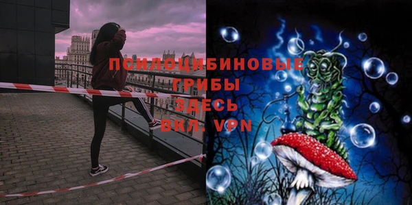 дживик Алексеевка